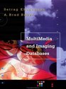 Multimedia and Imaging Databases