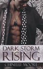 Dark Storm Rising (Indigo)