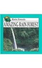 The Amazing Rain Forest