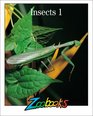 Insects 1 (Zoobooks)