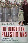 The Forgotten Palestinians A History of the Palestinians in Israel