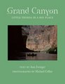 Grand Canyon: Little Things in a Big Place (Desert Places)