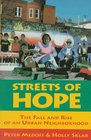 Streets of Hope : The Fall and Rise of an Urban Neighborhood