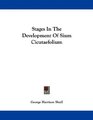 Stages In The Development Of Sium Cicutaefolium