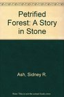 Petrified Forest A Story in Stone