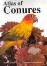 Atlas of Conures: Aratingas and Pyrrhuras