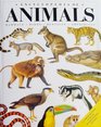 Encyclopedia of Animals Mammals Birds Reptiles and Amphibians