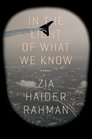 In the Light of What We Know: A Novel