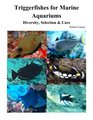 Triggerfishes for Marine Aquariums Diversity Selection  Care