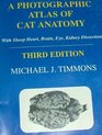 A Photographic Atlas of Cat Anatomy  With Sheep Heart Brain Eye Kidney Dissection