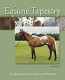 The Equine Tapestry An Introduction to Colors and Patterns