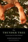 The Thunder Tree Lessons from an Urban Wildland