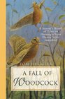 A Fall of Woodcock A Season's Worth of Tales on Hunting a Most Elusive Little Game Bird
