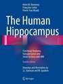 The Human Hippocampus Functional Anatomy Vascularization and Serial Sections with MRI