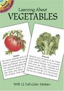 Learning About Vegetables