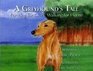 A Greyhound\'s Tale: Running for Glory, Walking for Home