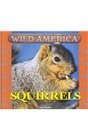 Wild America  Squirrels