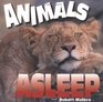 Animals Asleep