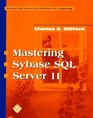 Mastering Sybase SQL Server II Book with CDROM