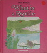 What Is a Reptile