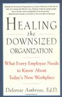 Healing the Downsized Organization  What Every Employee Needs to Know About Today's New Workplace