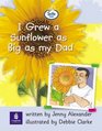 I Grew a Sunflower as Big as My Dad Info Trail Beginner Stage Nonfiction