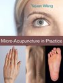 MicroAcupuncture in Practice