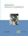 Adventure  The Value of Risk in Children's Play
