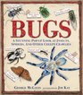 Bugs A Stunning Popup Look at Insects Spiders and Other CreepyCrawlies