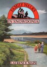 Family Walks in Snowdonia