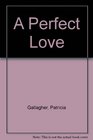 A Perfect Love