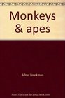 Monkeys  apes