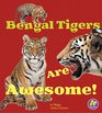 Bengal Tigers Are Awesome