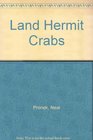 Land Hermit Crabs