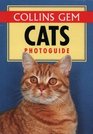 Cats Photo Guide