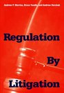 Regulation by Litigation