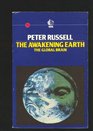 Awakening Earth Our Next Evolutionary Leap