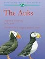 The Auks Alcidae