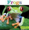 Seedlings Frogs