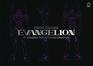 Neon Genesis Evangelion TV Animation Production Art Collection