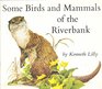 Some Birds and Mammals of the Riverbank