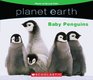 Baby Penguins (Planet Earth)