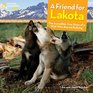 A Friend for Lakota The Incredible True Story of a Wolf Who Braved Bullying