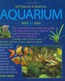 Setting Up A Tropical Aquarium