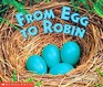 From Egg to Robin (Science Emergent Readers)