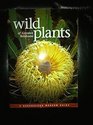 Wild Plants of Greater Brisbane