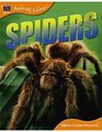 Animal Lives: Spiders (Animal Lives)