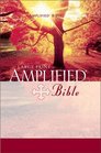 Amplified Bible,. Large Print
