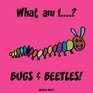 What am I BUGS  BEETLES