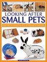 Looking After Small Pets An authoritative family guide to caring for rabbits guinea pigs hamsters gerbils jirds rats mice and chincillas with more than 250 photographs